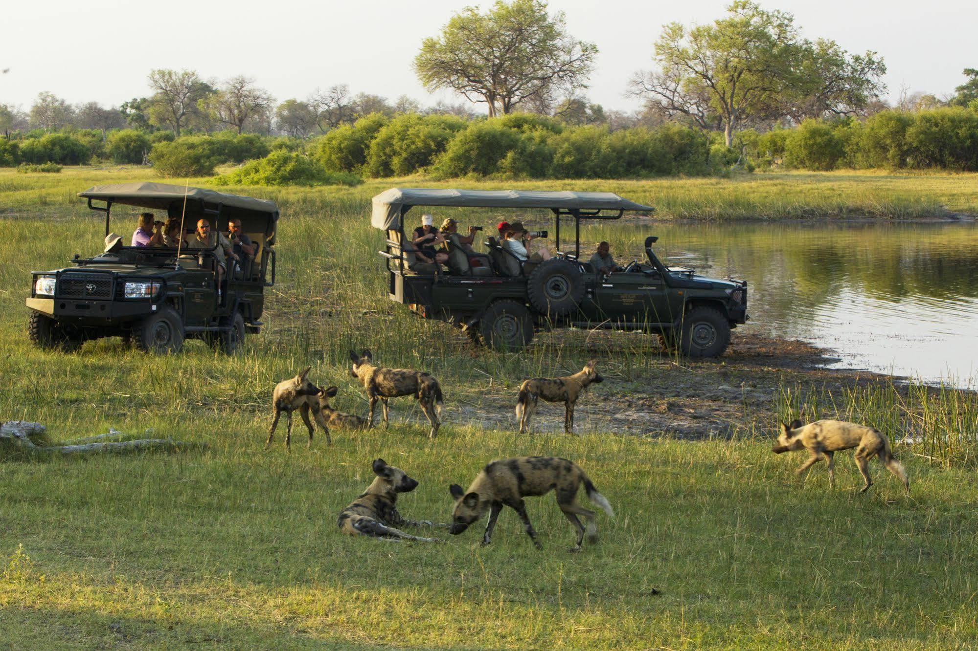 Hotel Selinda Camp Selinda Reserve Zewnętrze zdjęcie
