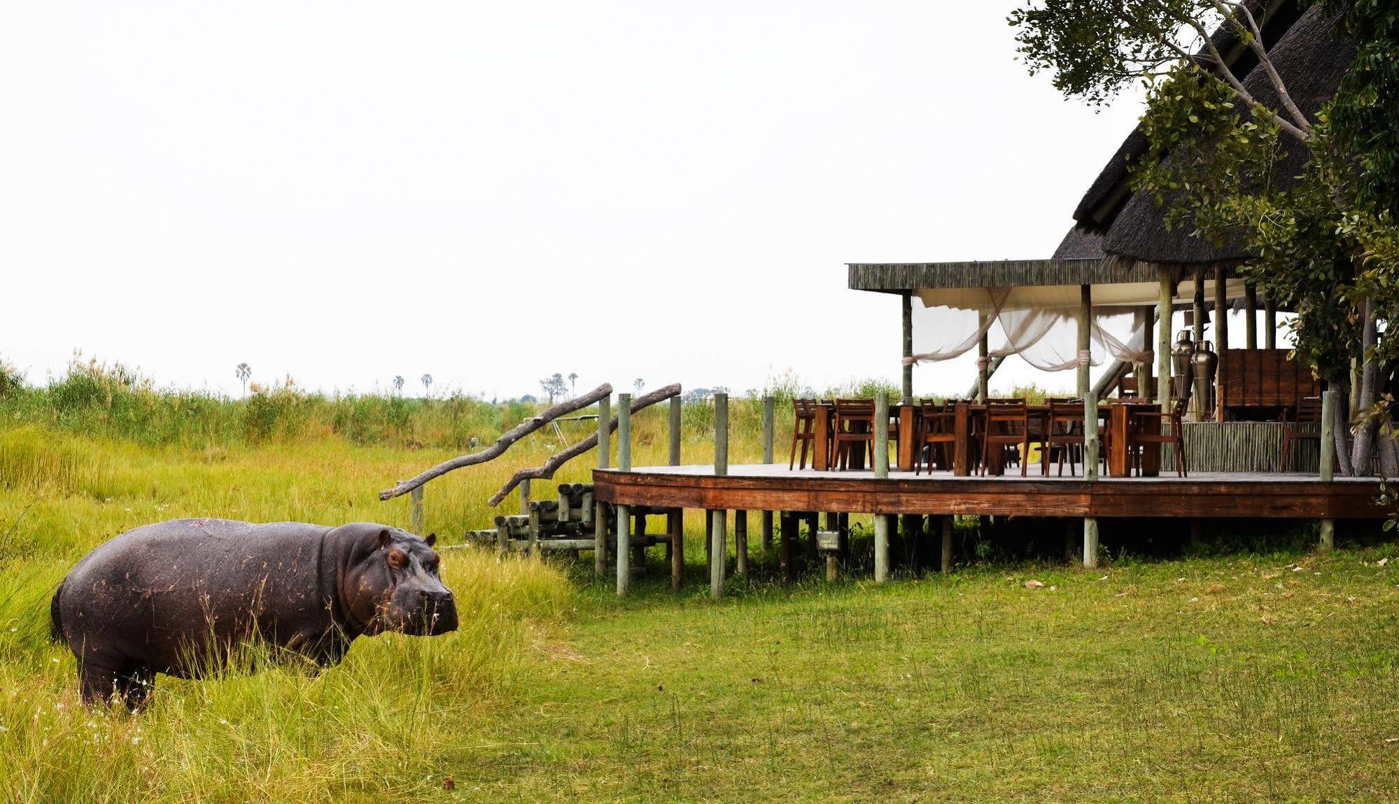 Hotel Selinda Camp Selinda Reserve Zewnętrze zdjęcie